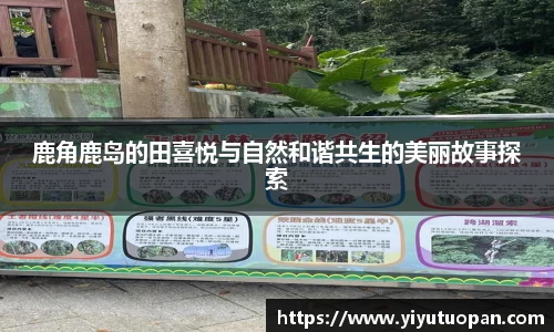 鹿角鹿岛的田喜悦与自然和谐共生的美丽故事探索