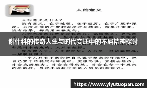 谢什科的传奇人生与时代变迁中的不屈精神探讨