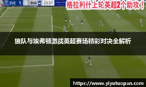 狼队与埃弗顿激战英超赛场精彩对决全解析